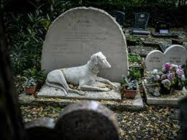 Inseparabili anche dopo la morte: cimiteri per gli animali da compagnia