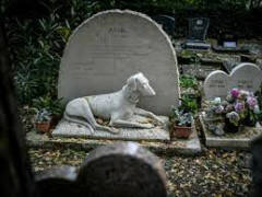 Inseparabili anche dopo la morte: cimiteri per gli animali da compagnia