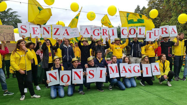 BOLLETTE: COLDIRETTI, 1 SU 2 TAGLIA SPESA, CRACK A TAVOLA DA 575 MLD