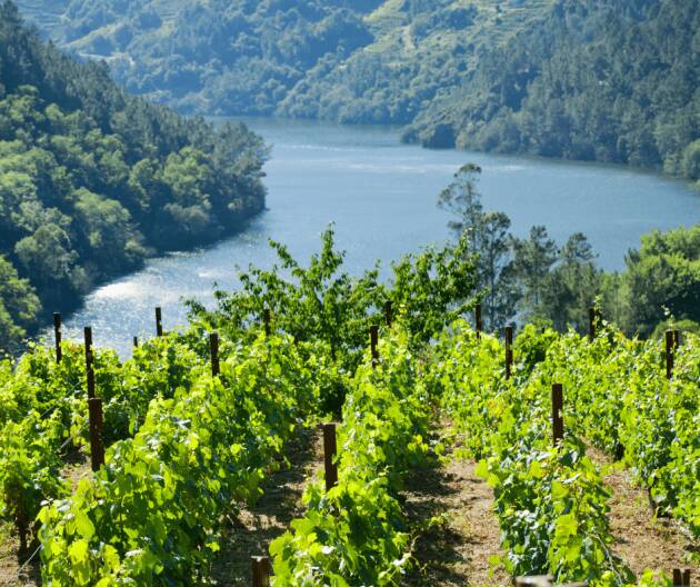 #VINOETERROIR : EROI DELLE MONTAGNE