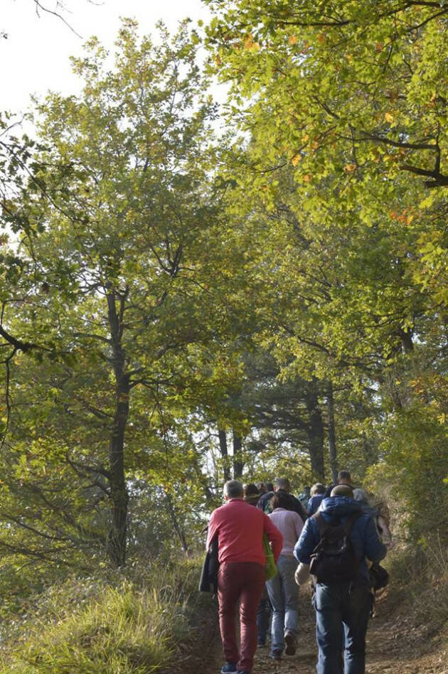 'QUATTRO PASSI TRA LE FOGLIE D’ AUTUNNO', Sabato 12 Novembre 2022