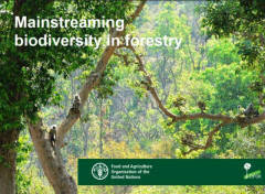 La gestione sostenibile delle foreste può migliorare la biodiversità mondiale