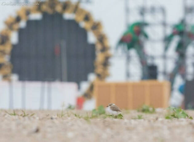 Nasce il Coordinamento nazionale per la tutela degli ambienti naturali dai grandi eventi