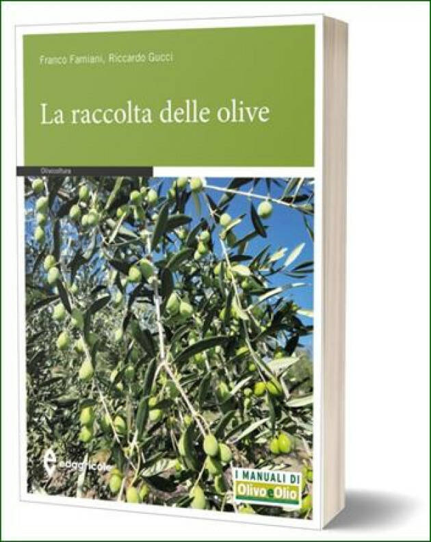 EDAGRICOLE LA RACCOLTA DELLE OLIVE  di Franco Famiani, Riccardo Gucci