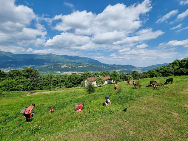 LA NATURA FA BENE AI BAMBINI Opportunità gratuite per minori del meratese