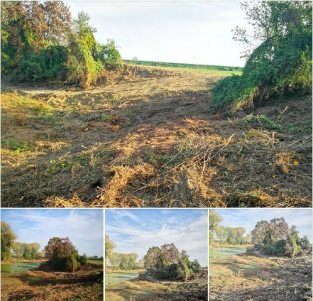 Stagno Lombardo Roberto Mariani LAVORI SUI BODRI