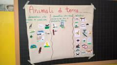 Cremona ANMVI porta One Health nelle scuole