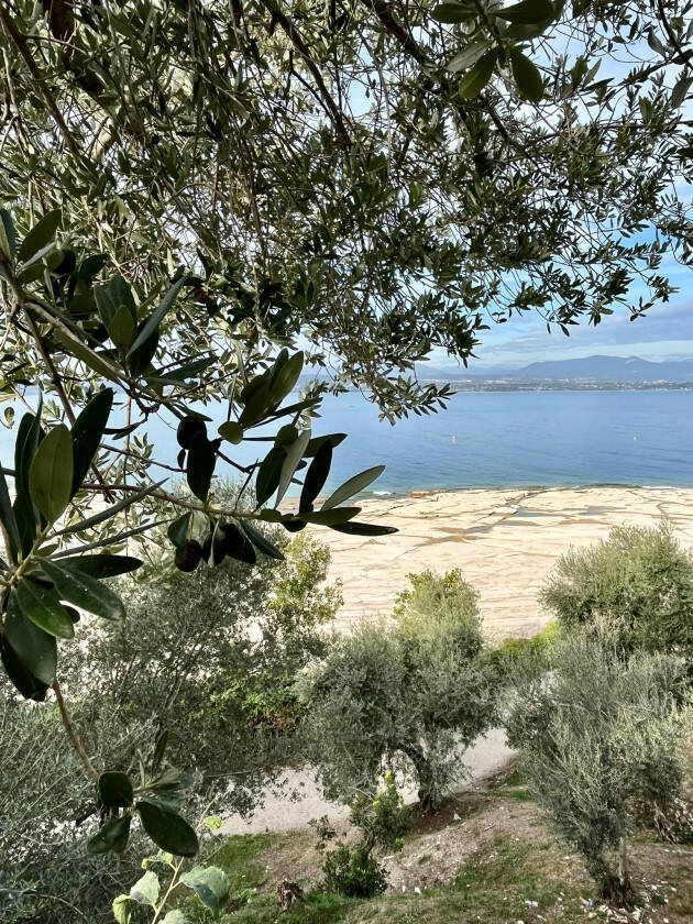 Naquane: Al Museo per raccogliere castagne e spigolare olive. Lo annuncia Emanuala Daffra
