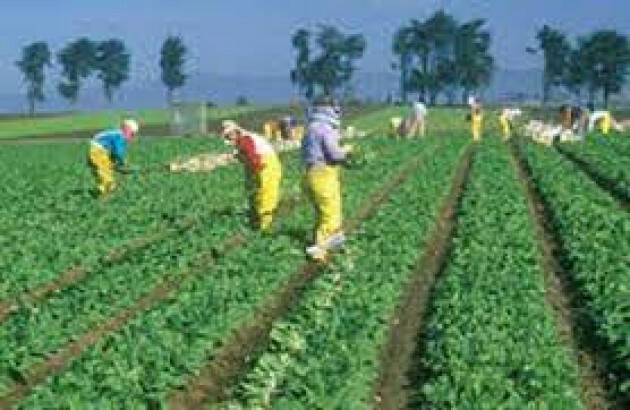 Cia, manodopera agricola diventi tema prioritario nuovo Governo