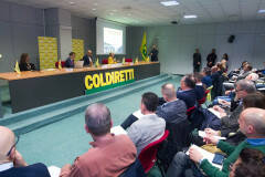  'Nuova Pac 2023-2027 Grandissima partecipazione al convegno Coldiretti Cremona