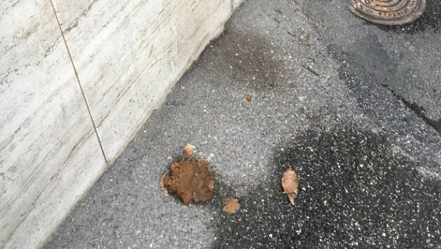 #miglioracremona Denti Giorgio segnala alcune tracce di civiltà