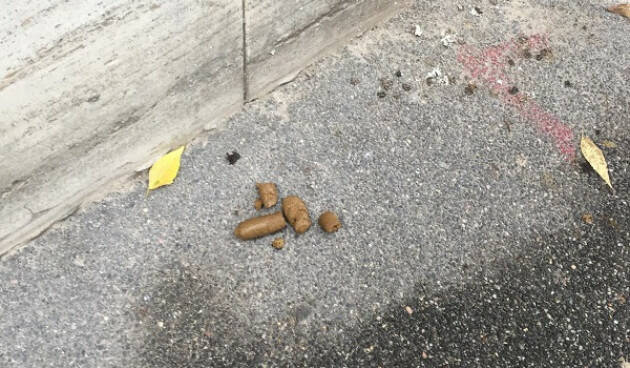 #miglioracremona Denti Giorgio segnala alcune tracce di civiltà