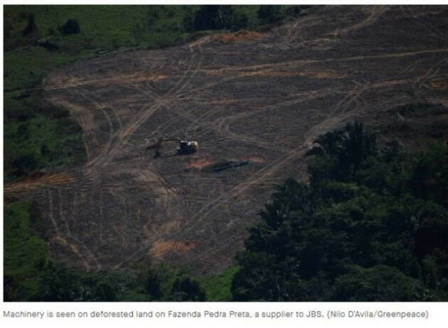 Le Banche EU continuano a finanziare gli allevatori che deforestano l’Amazzonia