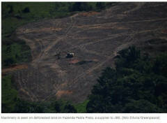 Le Banche EU continuano a finanziare gli allevatori che deforestano l’Amazzonia