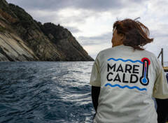 ''Il mare italiano è sempre più caldo''. Record all’Isola d’Elba