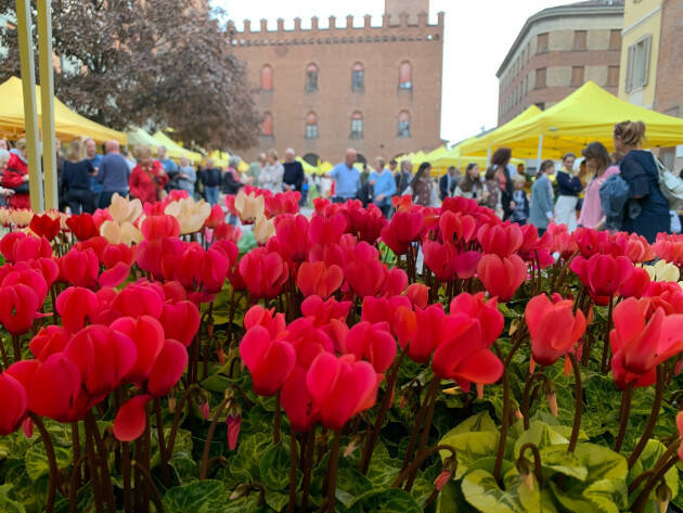 (CR) #Coldiretti Campagna Amica domenica 27 novembre in piazza Stradivari