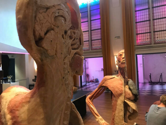 Evento ‘ESPOSIZIONE ANATOMICA’  DEL CORPO UMANO a CREMONA