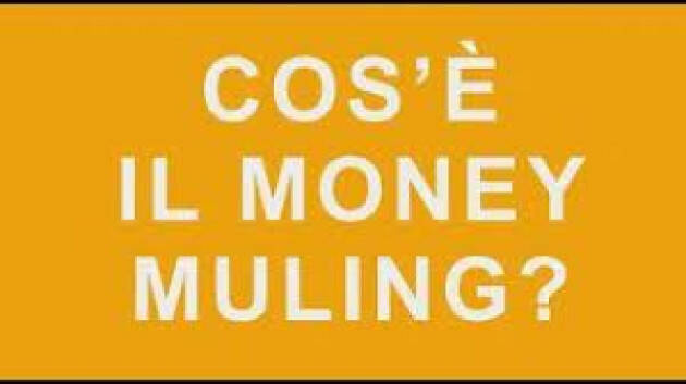 Operazione Emma contro le transazioni fraudolente dei 'money mules'