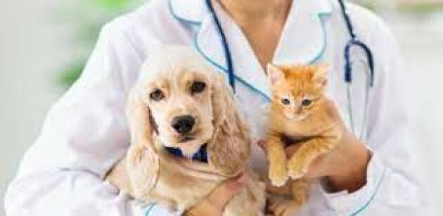 ANMVI MEDICI VETERINARI IN PROTESTA Appello al Governo