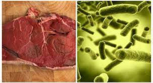 Degli Angeli (M5S)  Crema, Listeria nella carne. Alla base un conflitto di interesse