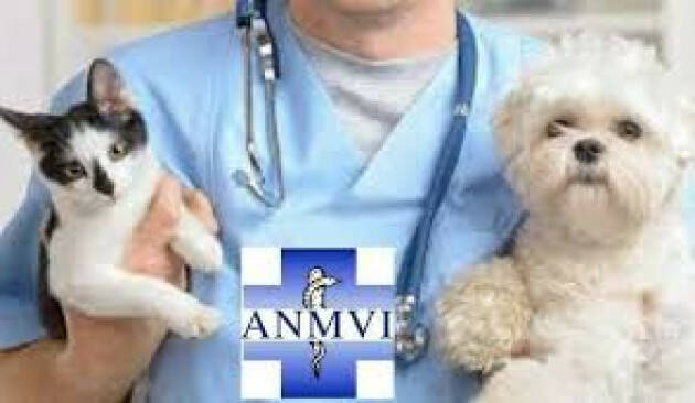 CR) ANMVI Niente e-fattura per chi invia al sistema TS