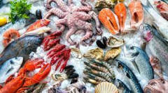 Feste: Cia, 1 mld spesa pesce. Prezzi stabili su 2021. Volano consumi (+20%)