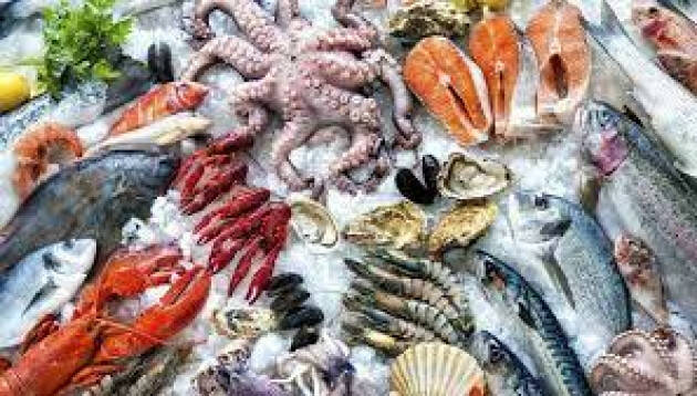 Inattesa frenata consumi ittici (-30%). Resiste cotechino, prodotto simbolo Capodanno