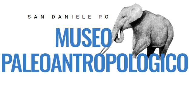 I Fossili della Magra in mostra a San Daniele Po dal 19 febbraio ‘23