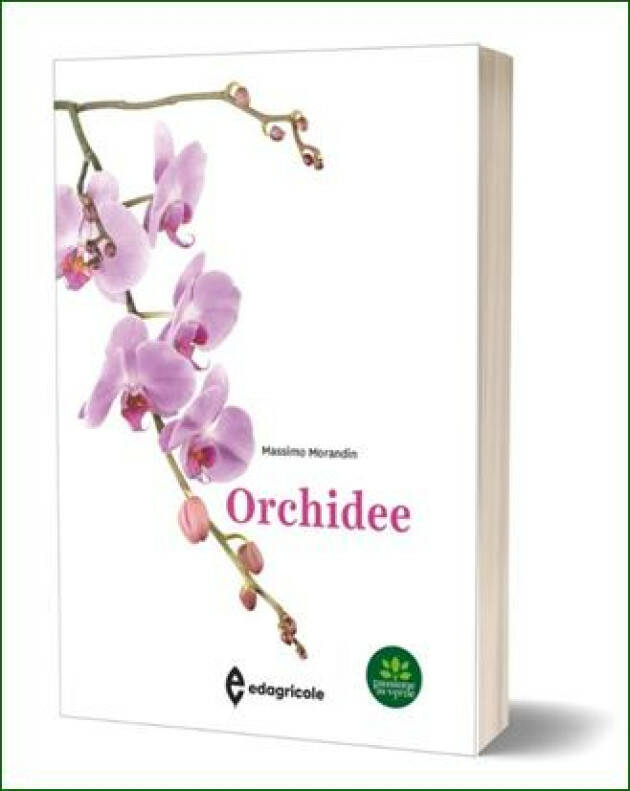 Edagricole ORCHIDEE di Massimo Morandin