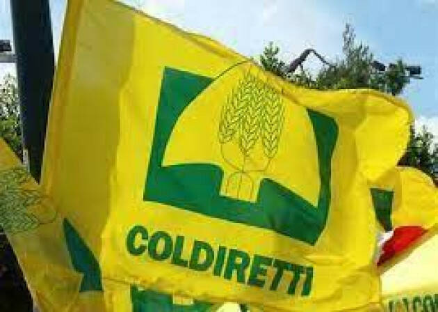 Consorzi di Bonifica, Coldiretti Cremona: buon lavoro a presidenti e consigli