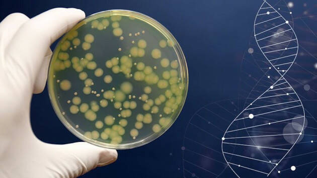 Come si acquisiscono i microbi della salute