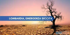 Siccità, Coldiretti al tavolo regionale:  senz’acqua è SOS cibo, serve piano invasi 