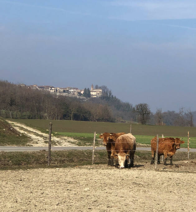 'La camminata dei 3 borghi' domenica 2 aprile