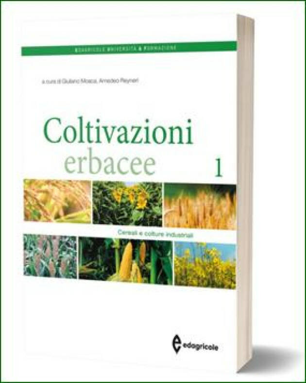 Edagricole COLTIVAZIONI ERBACEE 1 Cereali e colture industriali