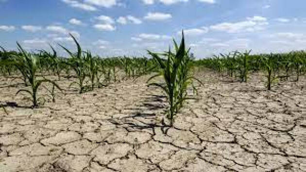 Coldiretti Cremona: 'SOS semine, fondamentale garantire acqua per l’irrigazione'