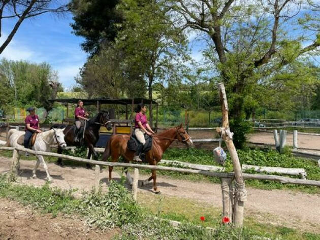 RIPARTE DA ROMA 'IL VIAGGIO DEL PERSANO', UN CAVALLO PER LA SALUTE MENTALE 