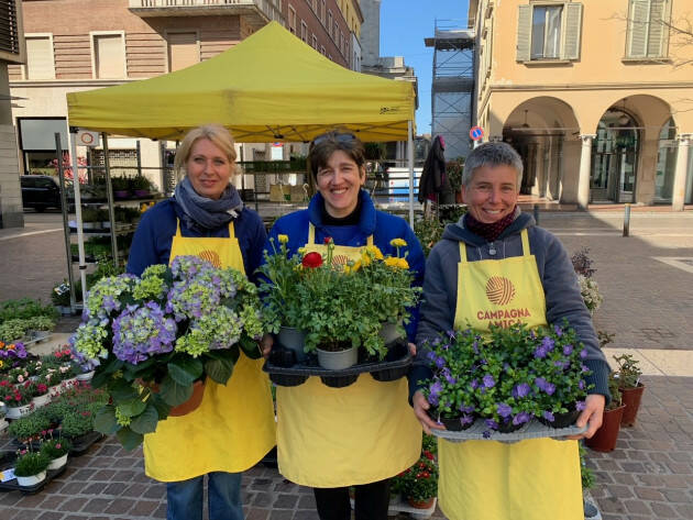 Campagna Amica domani in piazza Stradivari