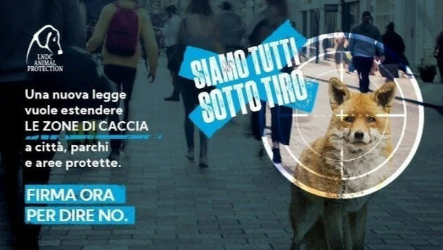 Firma Petizione per salvare le vite degli animali!