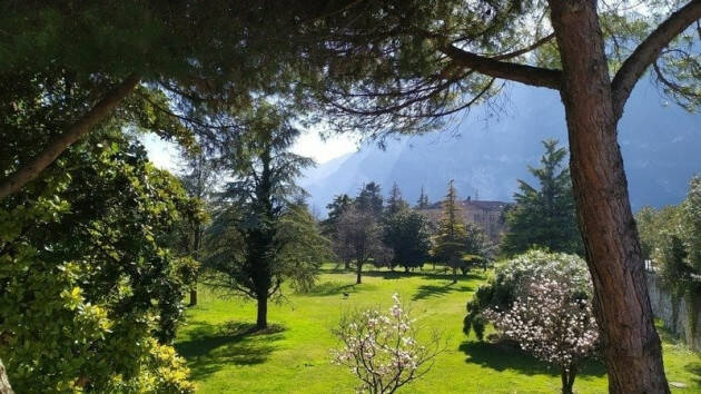 Firma Petizione SALVIAMO IL PARCO MIRALAGO DI RIVA DEL GARDA!