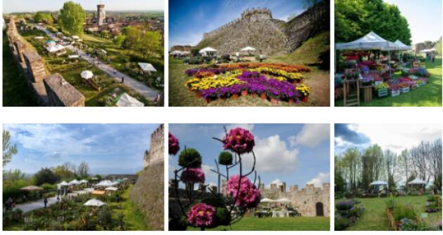 Lonato del Garda FIORInellaROCCA - Dal 14 al 16 aprile - Mostra mercato