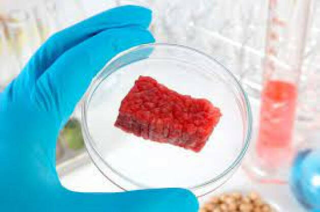 FAO: COLDIRETTI, DA ALLERGIE A CANCRO I RISCHI DEL 'CIBO SINTETICO”'