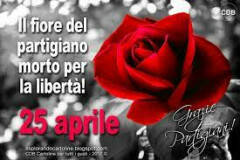 #anpi25aprile23  Cremona , Appello e celebrazioni in città