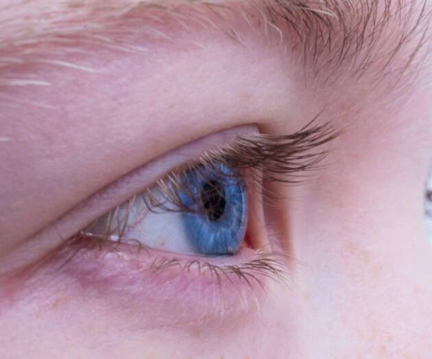 Donazioni cornee, SIBO e AIMO:Incremento 12% in 2022, ma lontani dati pre-pandemia