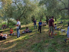 Grada Grande attesa per l’iniziativa  Città dell’Olio 