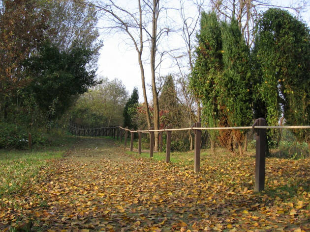Castelleone ... VIENI, C’E’ UNA STRADA NEL BOSCO .