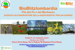 Sabato 20 maggio 'BioBlitz'nel Parco del Po e del Morbasco