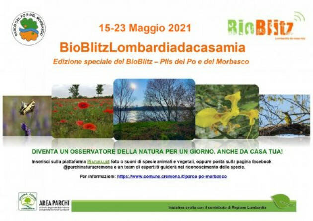 Sabato 20 maggio 'BioBlitz'nel Parco del Po e del Morbasco