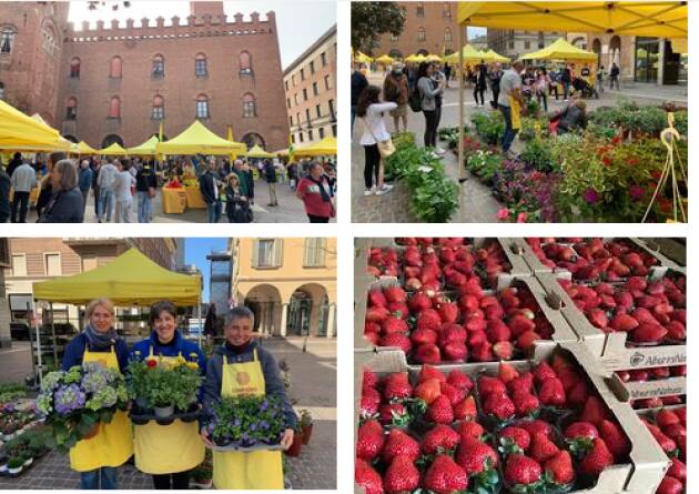 Cremona Campagna Amica domani in piazza Stradivari