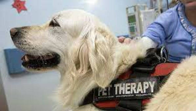 Piacenza Dieci anni di pet therapy ed educazione cinofila alla media Anna Frank.