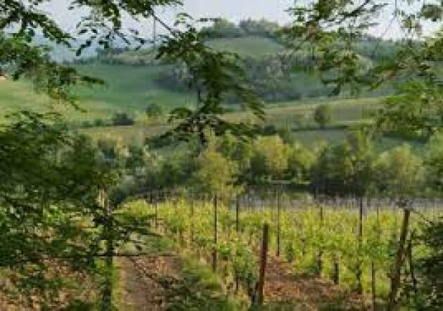 ''Borgonovo…Cronache di tempi lontani''